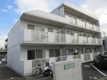 バイオレットＰ．Ｃの画像