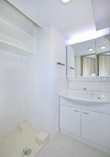 TENAS泉(テナス泉)の洗面所