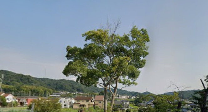 北川ハイツの展望