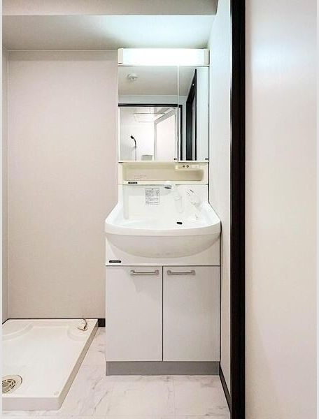 S-FORT西九条の洗面所