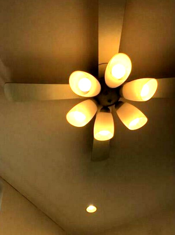 フローレスタ葛西の設備