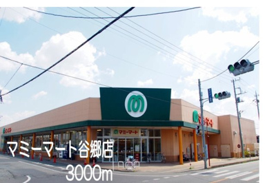 【周辺】 | グランビュー・デ・クロシェット | マミーマート谷郷店まで3000m