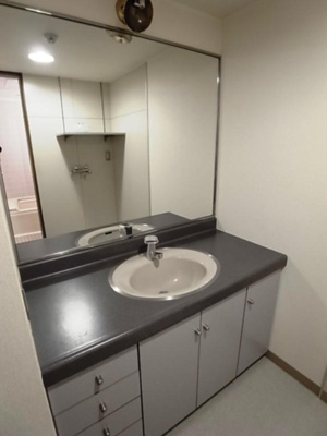 【洗面所】 | リアライズ山王