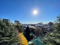 ローヤルハイツ氷川の画像