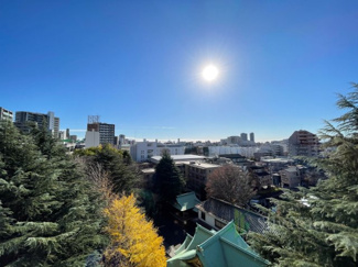 【展望】 | ローヤルハイツ氷川 | バルコニーからの眺望　当日のご見学、可能です！お気軽にお問い合わせください！※0120-133-468