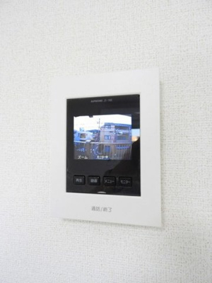 【その他】 | メインクーン