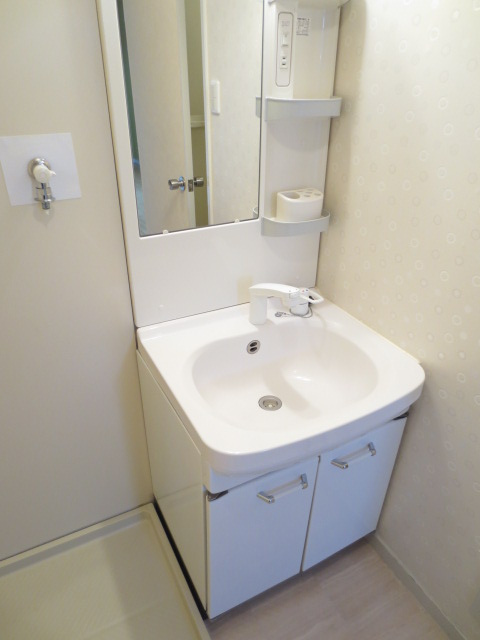 メゾンドール東条の洗面所|シャワー付き独立洗面台