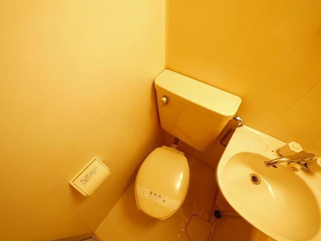 ホワイトヒルのトイレ|落ち着いた色調のトイレです