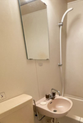 【洗面所】 | スカイコートパシフィック川崎