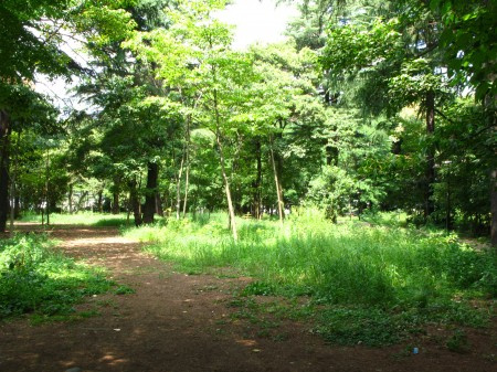 LA VIERE 江古田の森公園