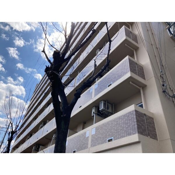 サウスフラット