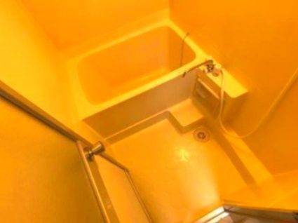 ビュール板橋の浴室