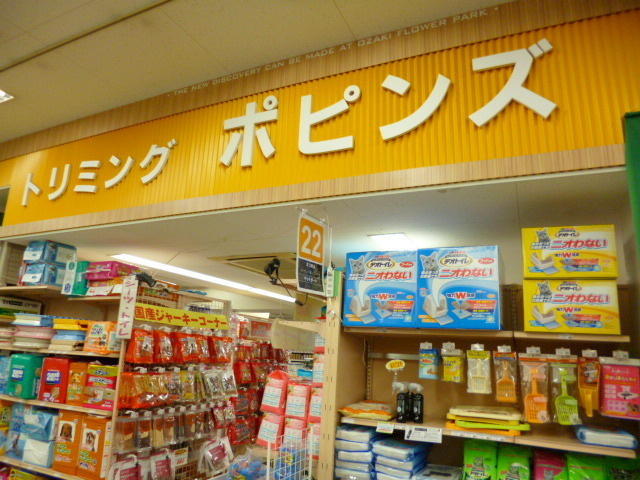 クレールのその他|トリミングルームポピンズ