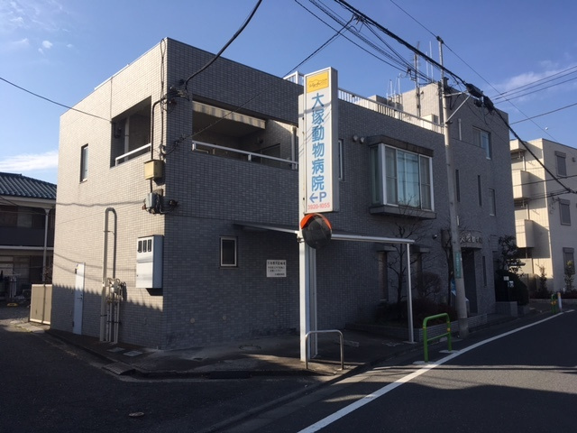 クレールのその他|大塚動物病院