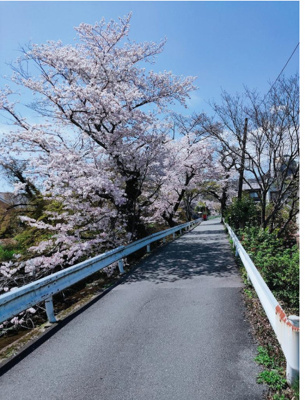 【展望】 | 西京区松室田中町