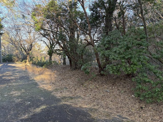 【外観】 | 東急天城高原別荘地　売地