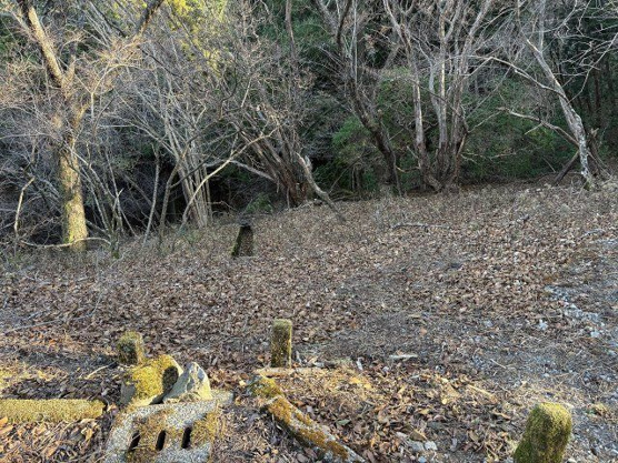 【外観】 | 東急天城高原別荘地　売地