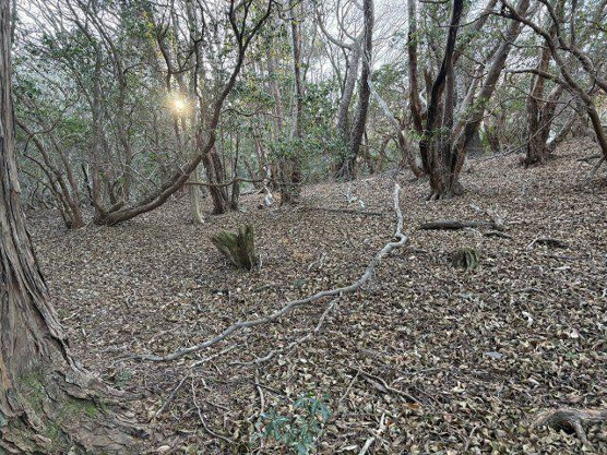 【外観】 | 東急天城高原別荘地　売地