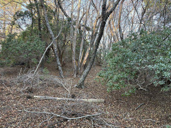 【外観】 | 東急天城高原別荘地　売地