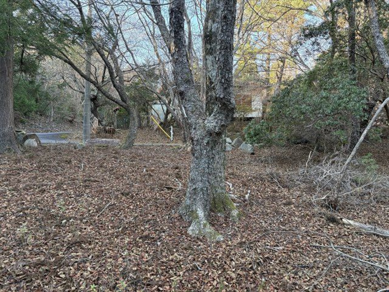 【外観】 | 東急天城高原別荘地　売地