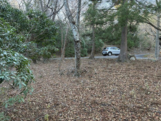 【外観】 | 東急天城高原別荘地　売地