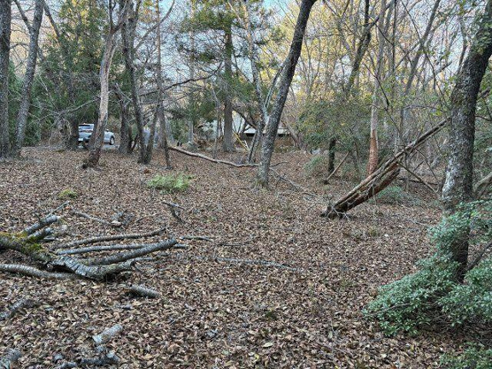 【外観】 | 東急天城高原別荘地　売地
