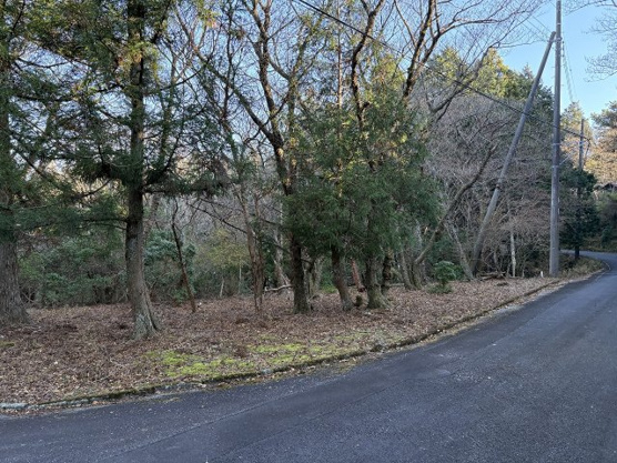 【外観】 | 東急天城高原別荘地　売地