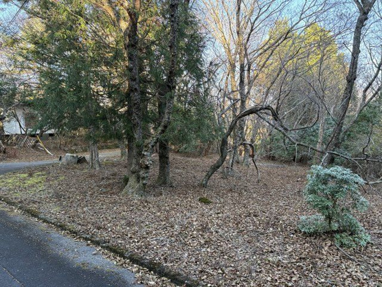 【外観】 | 東急天城高原別荘地　売地