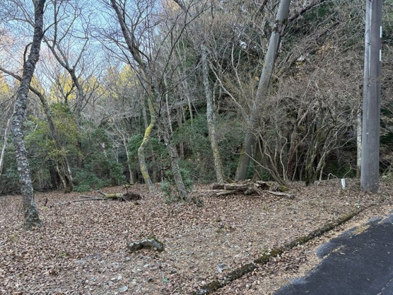 【外観】 | 東急天城高原別荘地　売地