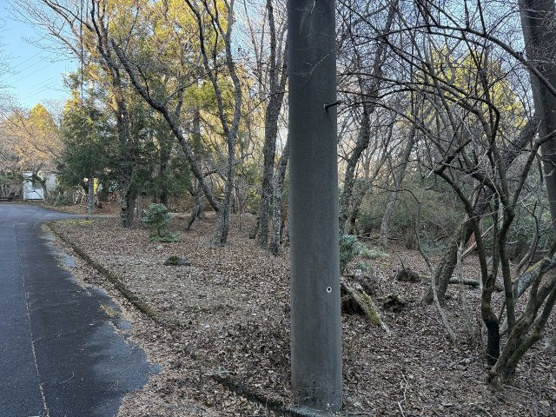 【外観】 | 東急天城高原別荘地　売地