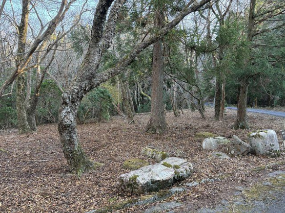 【外観】 | 東急天城高原別荘地　売地