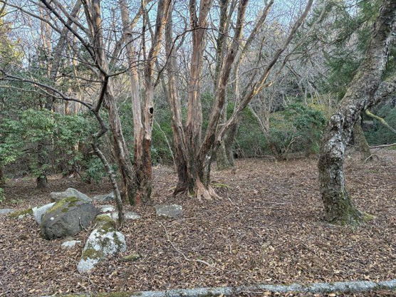 【外観】 | 東急天城高原別荘地　売地