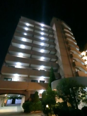  | ロビンソング