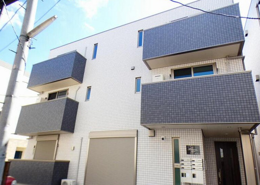 サンセベリアの画像