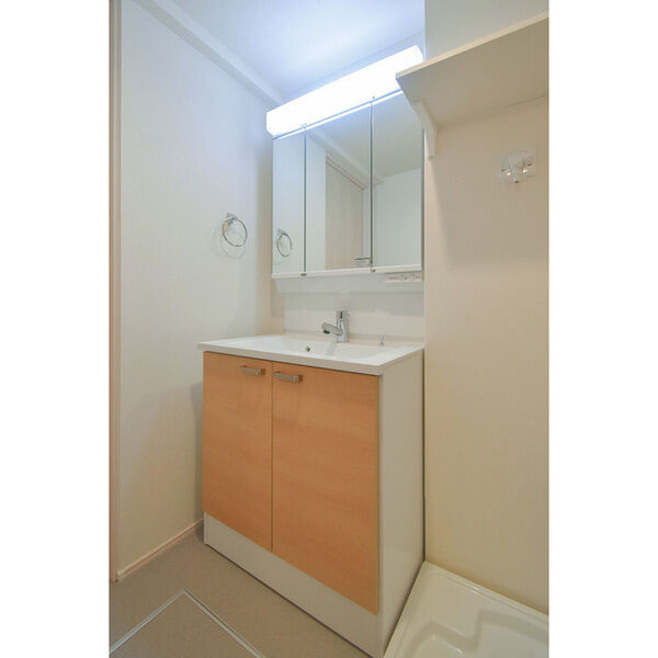 ハーモニーテラスRen相川の洗面所