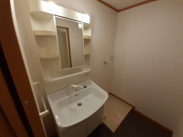 エスト京田辺Ⅱの洗面所