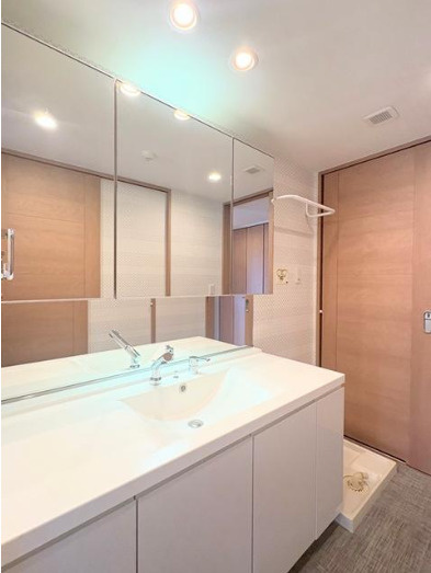 フォルム松ヶ崎ノーザンレジデンスの独立洗面台