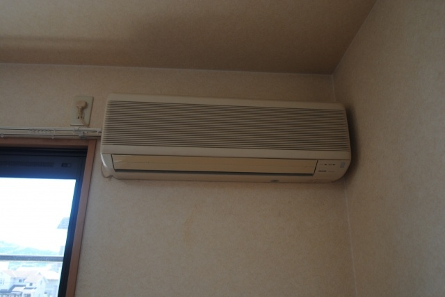 マーサ・ジュネスのその他