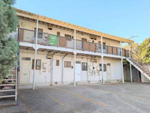 ルーマ油壷の画像