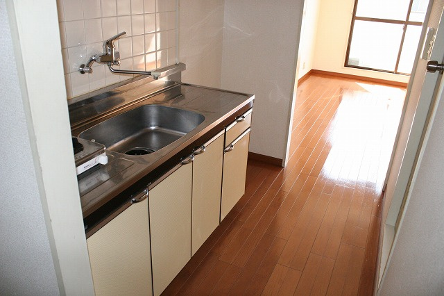 エクセレント河のキッチン|キッチンです