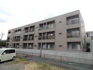 ウィステリアの画像