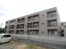 ウィステリアの画像