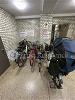 【その他】 | 大蔵シャルム