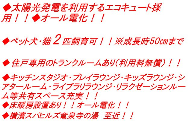 レーベンリヴァーレ横濱鶴ヶ峰ヒルズ【仲介手数料無料】