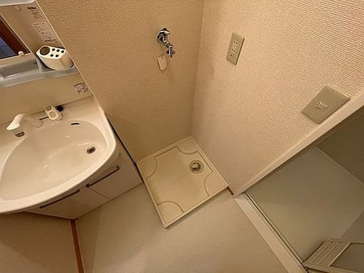 ロイヤルコート2の洗面所