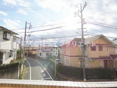 【展望】 | ルピナス1