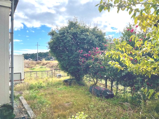 高島市安曇川町南古賀中古戸建の庭