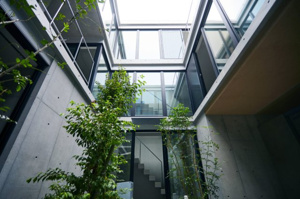 【庭】 | 新築時撮影
光が降り注ぐ中庭とスカイライトが特徴のデザイナーズ邸宅
2世帯住宅や賃貸併用住宅としても利用可能で、多様なライフスタイルに対応します