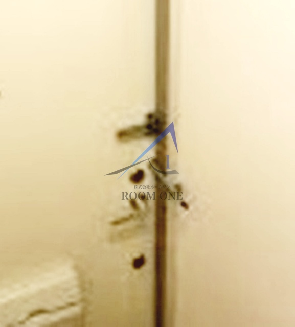 エミレシアのセキュリティ|内鍵です。