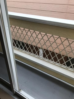 【バルコニー】 | マローネヴィラ